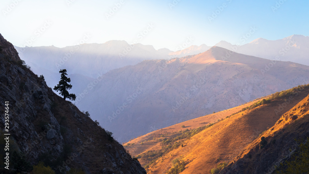 A lone pine tree on the mountainside. Soft sunlight illuminates the mountain tops.