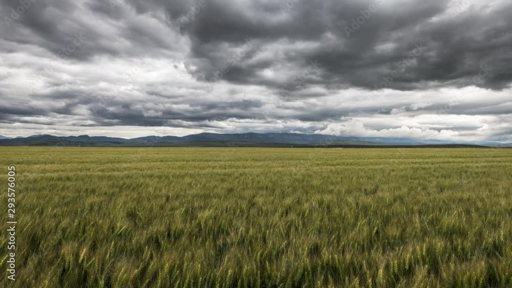 Stormy clouds over farmland in Alberta foothills 4K timelapse Stormy clouds over farmland in Alberta foothills 4K timelapse