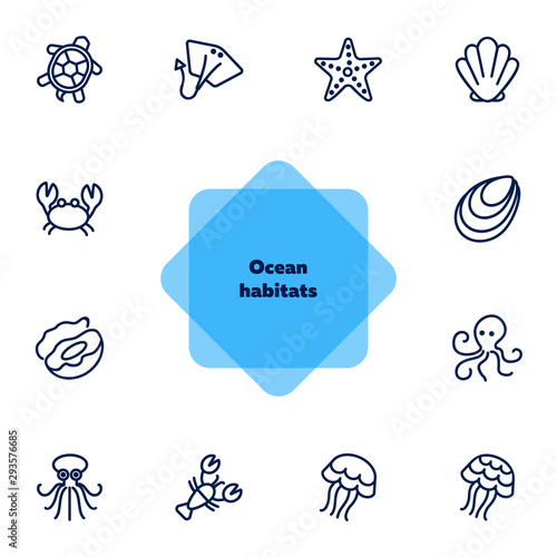 Ocean habitats icon set. Seaanimal concept. Vector illustration can be used for topics like seafood, cuisine, cooking photo