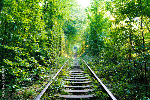 tunnel of love