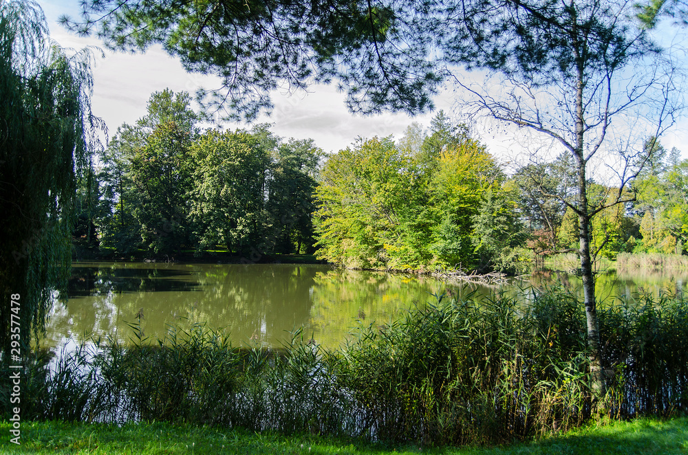 Park zamkowy Park zamkowy