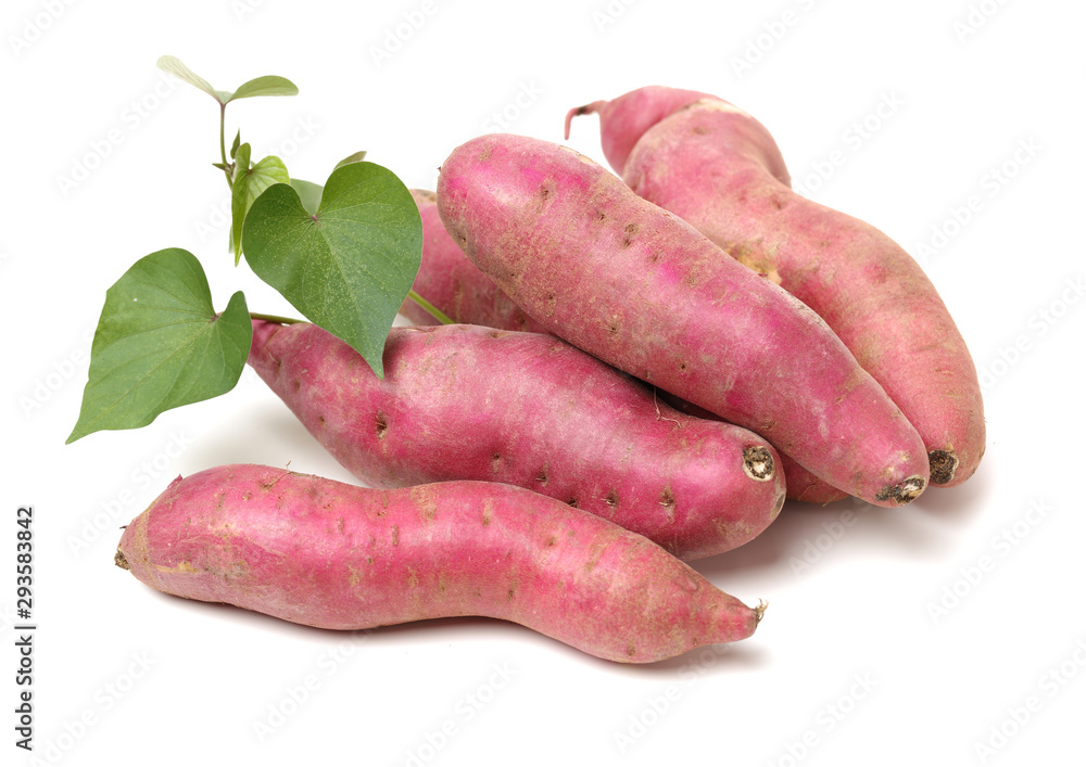 sweet potatoes on the white background sweet potatoes on the white background