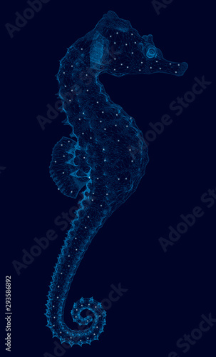 Wireframe of a seahorse from blue lines on a dark background with luminous lights. Side view. Polygonal seahorse. Vector illustration.