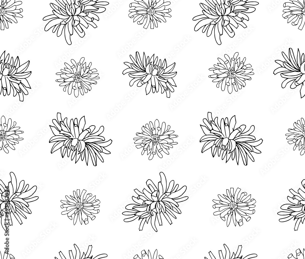 Vector seamless botanical pattern with hand drawn chrysanthemum flowers isolated on a white background. Endless texture. Wrapping paper, textile fabric print. Cover for planner, notebook. Vector seamless botanical pattern with hand drawn chrysanthemum flowers isolated on a white background. Endless texture. Wrapping paper, textile fabric print. Cover for planner, notebook.