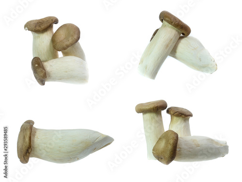 set of King Oyster mushrooms isolated on white background