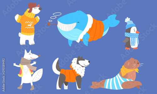 Collection of Polar Animals in Warm Clothes, Polar Bear, Wolf, Whale, Penguin, Dog, Husky, Fur Seal Vector Illustration