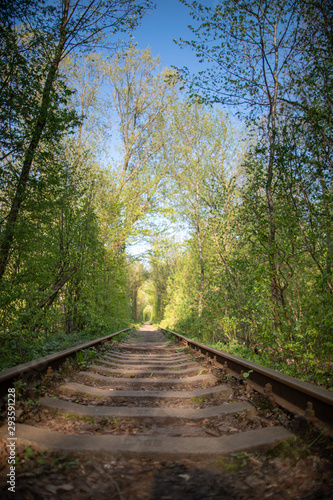 Single-track railway line in forest © A_Skorobogatova