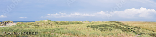 Grassy dunes on the island of Terschelling photo