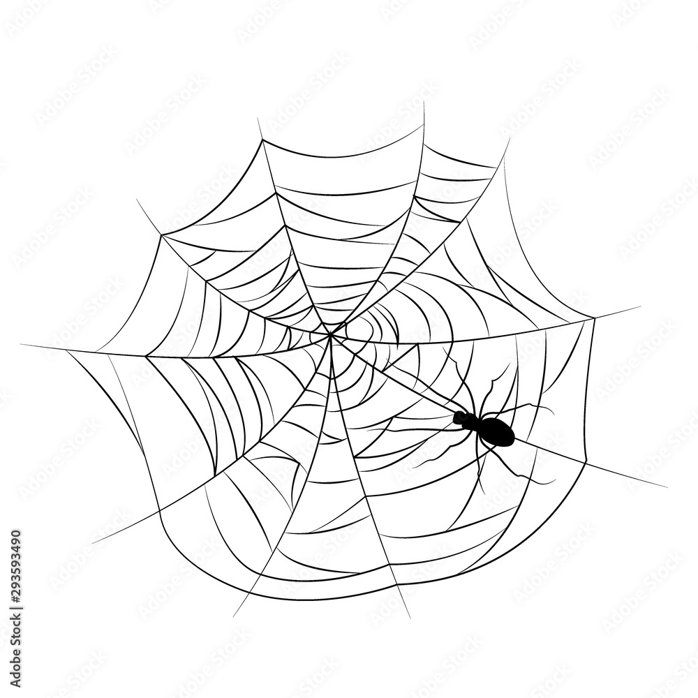 Set of spider web of different shapes with black spiders isolated Set of spider web of different shapes with black spiders isolated
