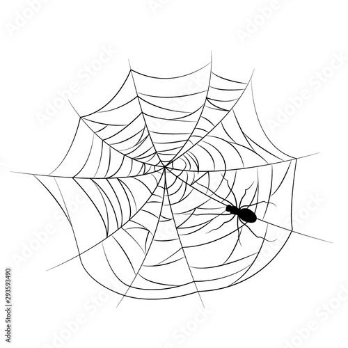 Set of spider web of different shapes with black spiders isolated
