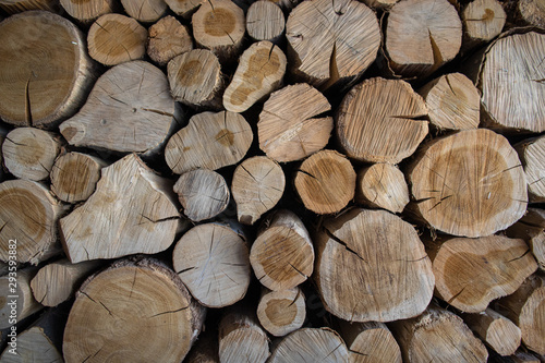 Wooden log slice background. Wooden  texture