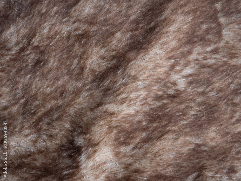 fur texture background