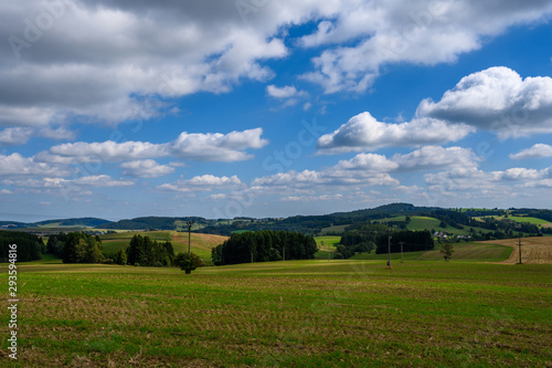 Beautiful diverse green landscape of the Czech Republic region Vysocina © vaclav