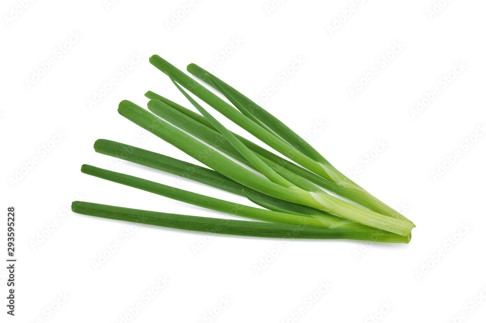 Green onion isolated on the white background Green onion isolated on the white background