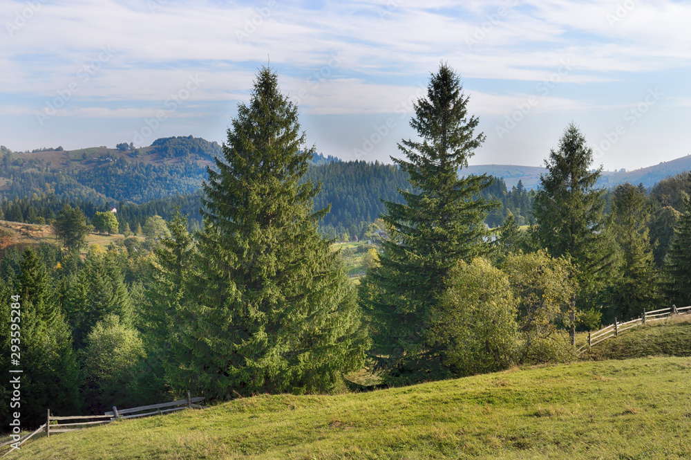 Mountain landscape.