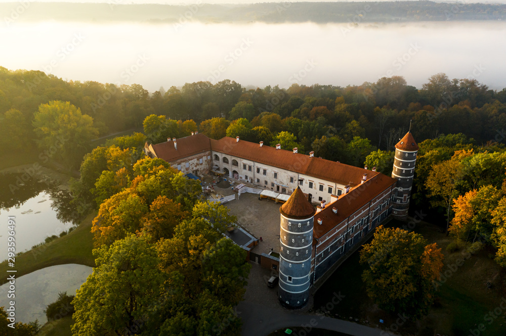 Aerial: Panemune castle in autumn