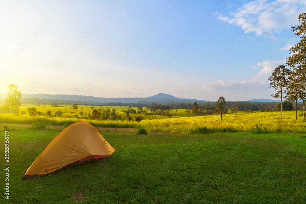 Camping and tent middle of the meadow in beautiful forest view.