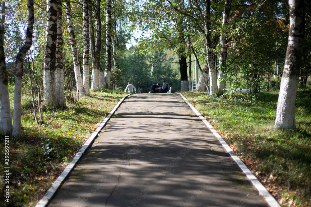 Road surface. Surface under your feet. Preparation for road repair. What should be normal asphalt and tile.