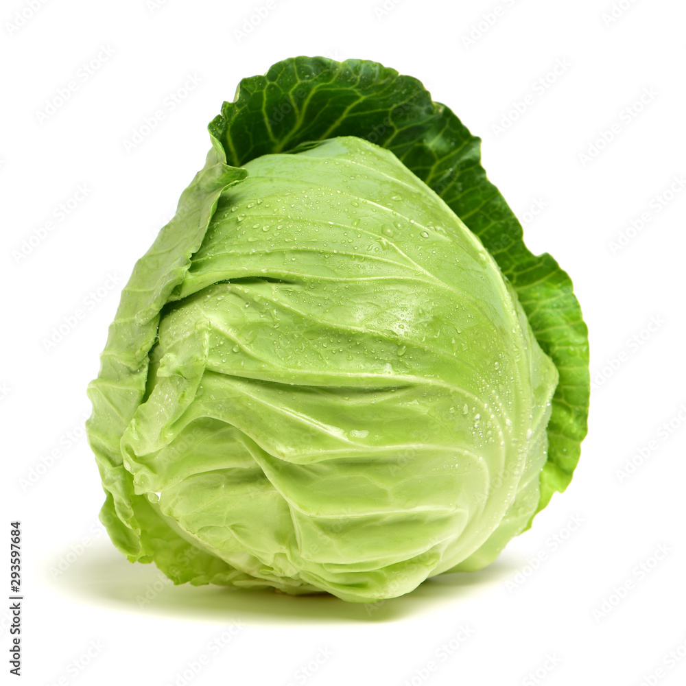Fototapeta premium cabbage on white background