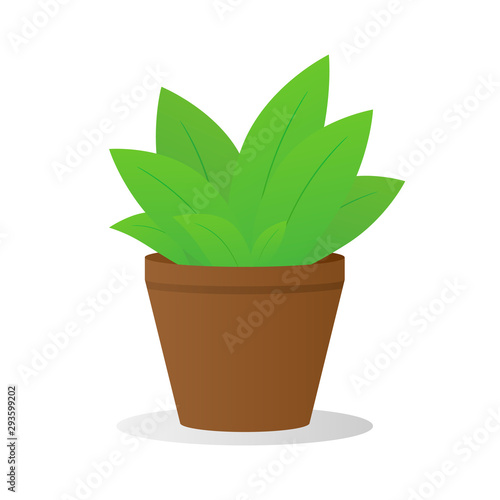 Houseplant, Indoor plant, Flower in a pot in vector illustration.