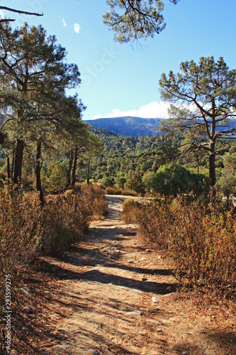  A view of the mountain in sunny day