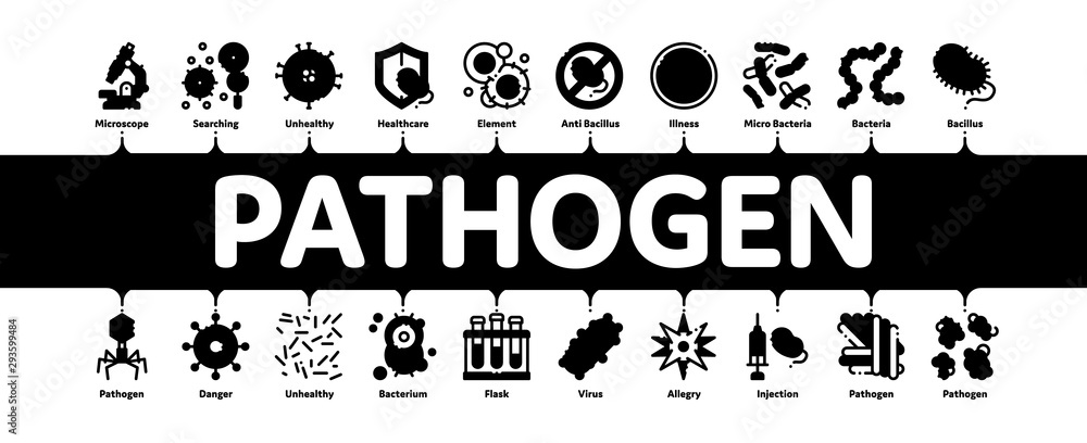 Pathogen Minimal Infographic Web Banner Vector. Pathogen Bacteria ...