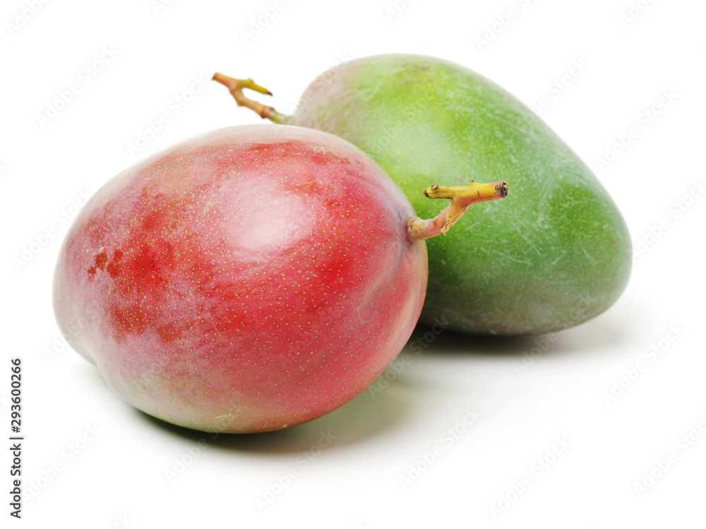 mangos on white background mangos on white background