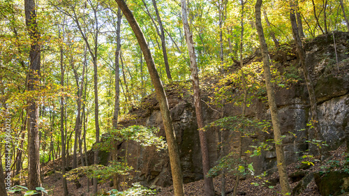 landscape of a rocky bluff covered in trees deep in the woods