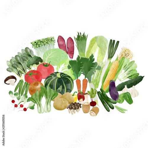 野菜の水彩画