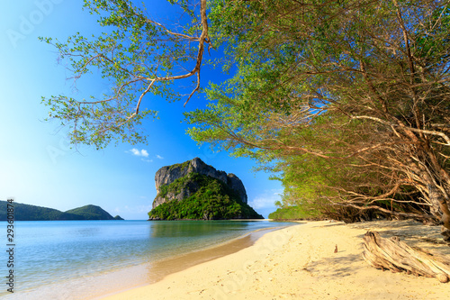 Deserted tropical beach