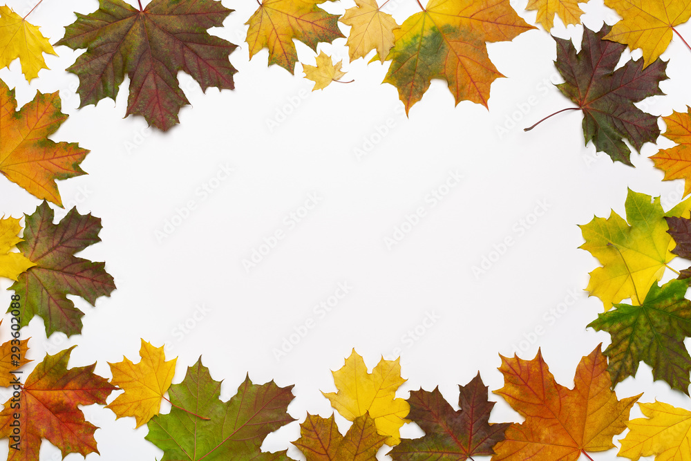 Autumn background with colorful maple leaves. Congratulations concept, greeting card or invitation. Copy space. Autumn background with colorful maple leaves. Congratulations concept, greeting card or invitation. Copy space.