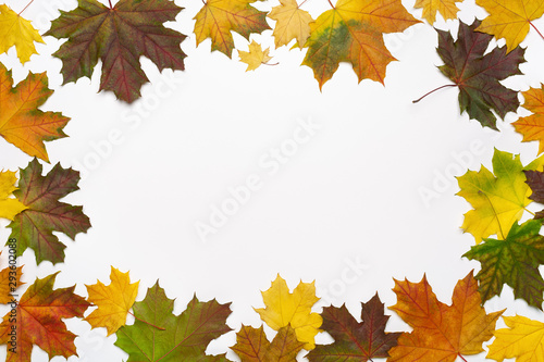 Autumn background with colorful maple leaves. Congratulations concept  greeting card or invitation. Copy space.