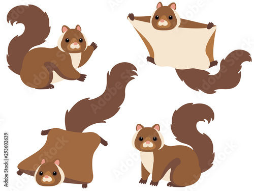 ムササビのポーズイラストセット