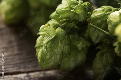 close up view of green hop on wooden surface
