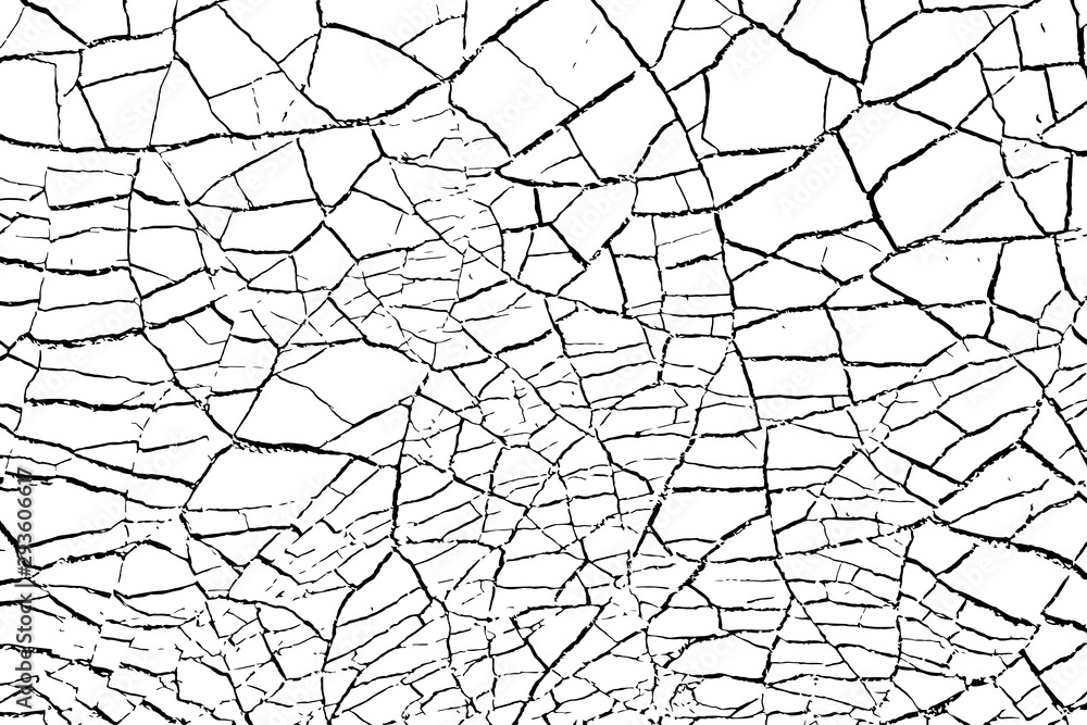 The cracks texture white and black. Vector background.Cracked earth. Structure of cracking. Cracks in dry surface soil texture. shards