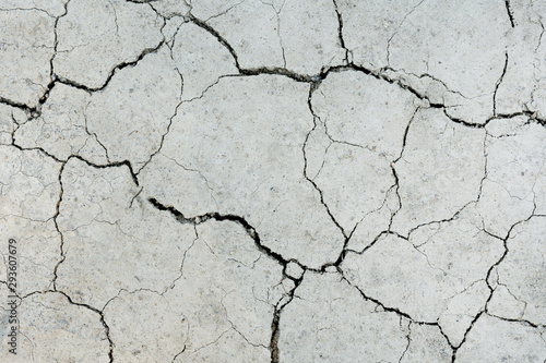 Fotografie White dried and cracked ground