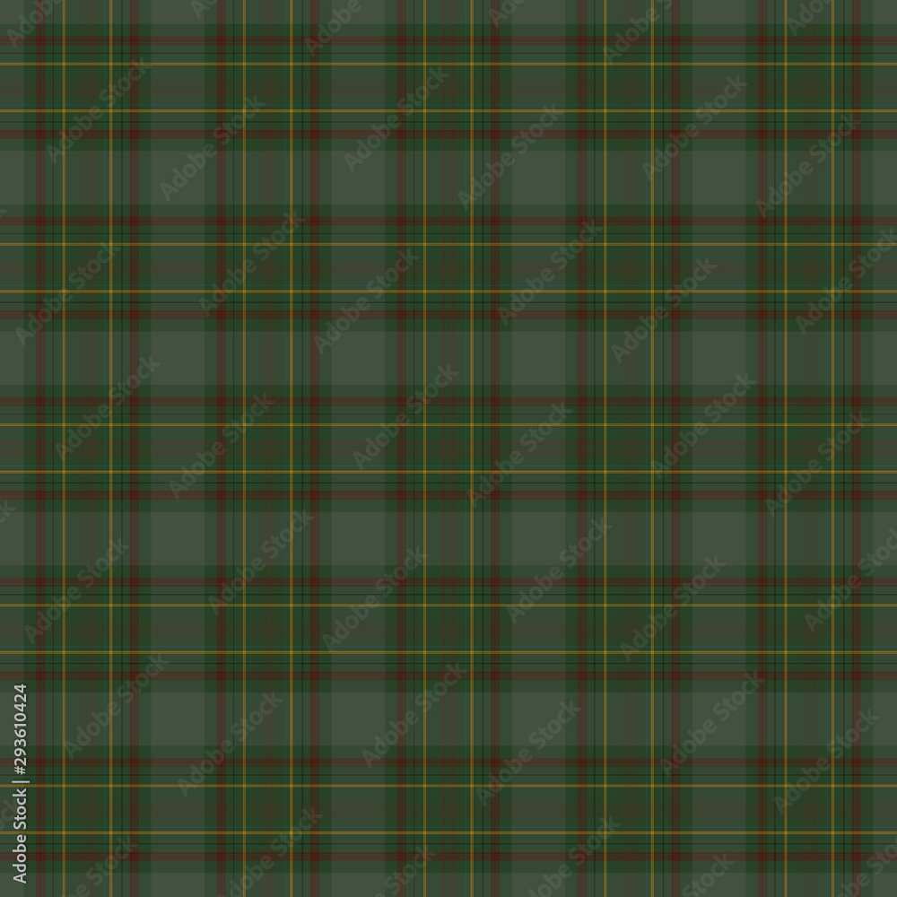 Obraz premium Tartan!!!!!!!