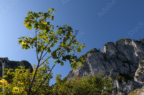 Hörndlwand vor blauem HImmel im Herbst