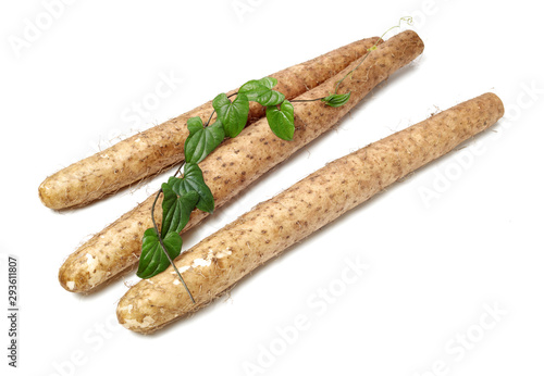 Chinese yam on white background 