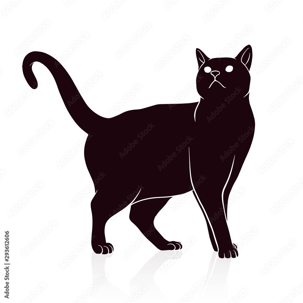 cat silhouette vector illustration isolated on white background