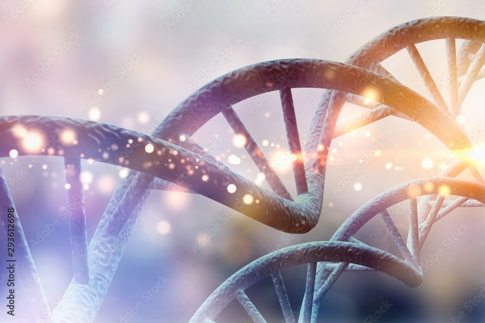 Dna. Dna.