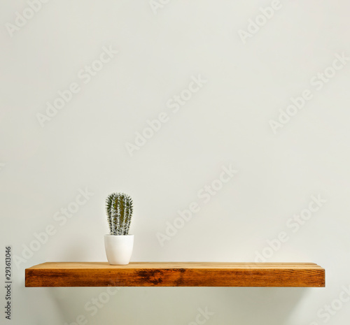 Shelf background of wood and free space for your decoration. Small single plant and gray wall. 