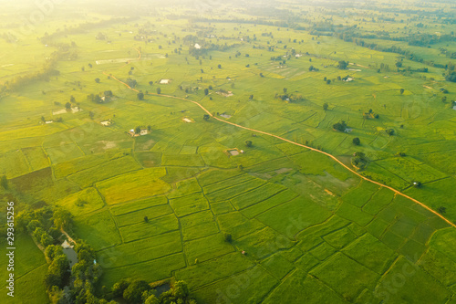 Beautiful aerial top view in Green Rice Field In Northern Of Thailand