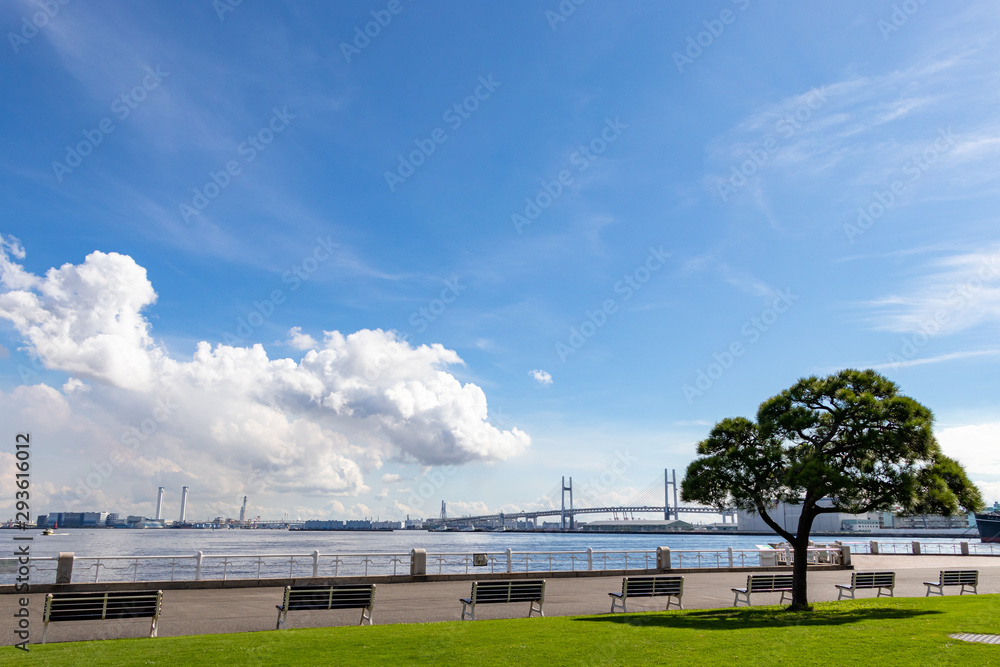 横浜山下公園の青空と海