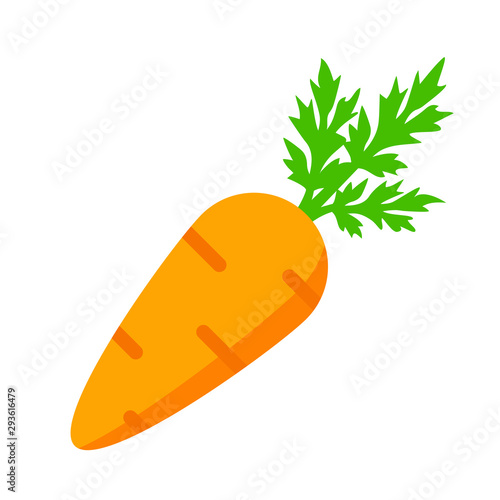 Fresh tasty carrot icon