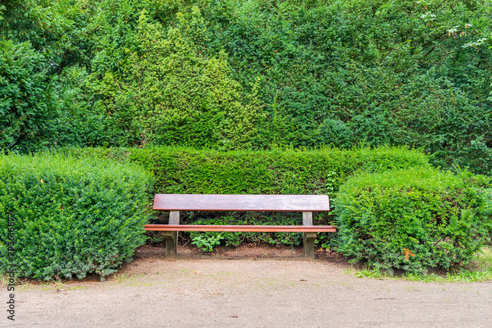 Einsame Sitzbank neben Gebüsch in einem Wald