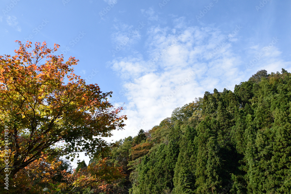 Ushibuchi Koen Park. Natural park in Miyagi Prefecture Japan.