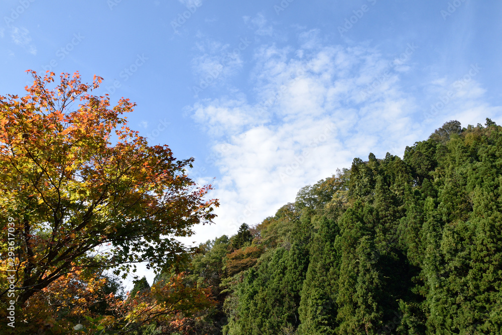 Ushibuchi Koen Park. Natural park in Miyagi Prefecture Japan. Ushibuchi Koen Park. Natural park in Miyagi Prefecture Japan.