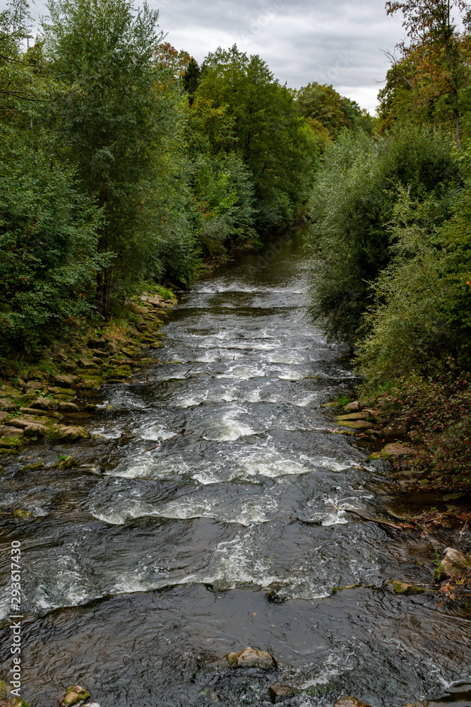 beautiful woodland in autumn time in Germany beautiful woodland in autumn time in Germany