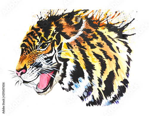  tiger drops color watercolor drawing 